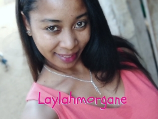 Laylahmorgane