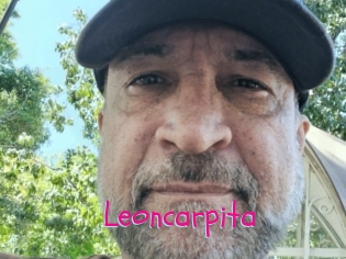 Leoncarpita