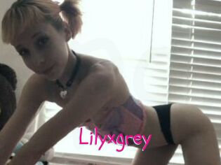 Lilyxgrey