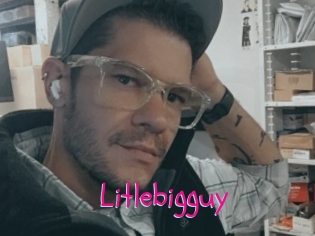 Litlebigguy