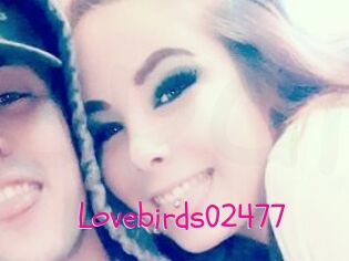 Lovebirds02477