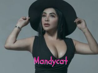 Mandycat