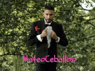 MateoCeballos