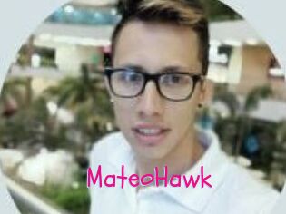 MateoHawk