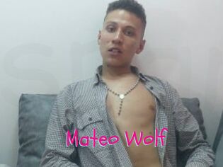 Mateo_Wolf