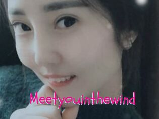 Meetyouinthewind