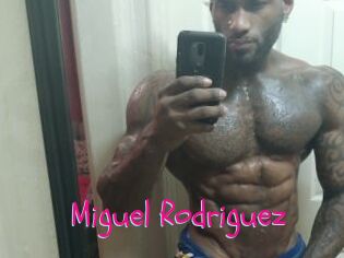 Miguel_Rodriguez