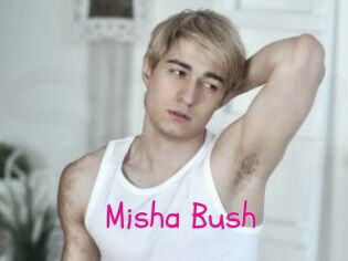 Misha_Bush