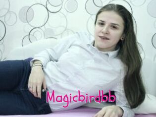 Magicbirdbb