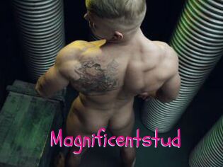 Magnificentstud