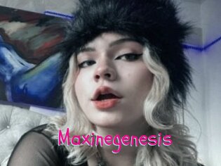 Maxinegenesis