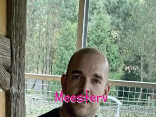 Meesterv