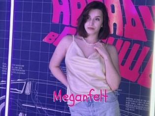 Meganfelt