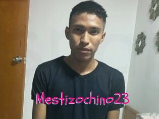 Mestizochino23