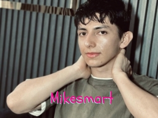 Mikesmart