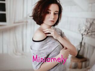 Miniamely