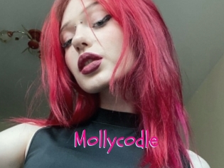 Mollycodle