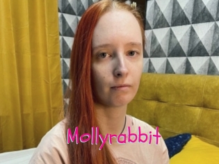 Mollyrabbit