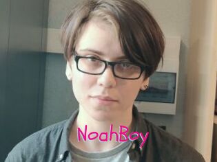 NoahBoy