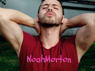 NoahMorton