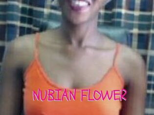 _NUBIAN_FLOWER_