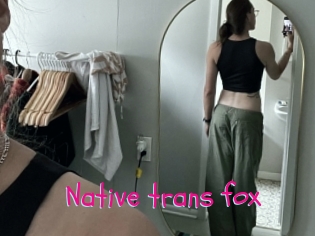 Native_trans_fox