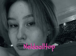 Neldaalltop