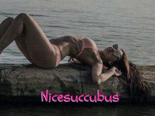 Nicesuccubus