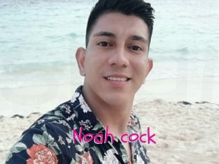 Noah_cock