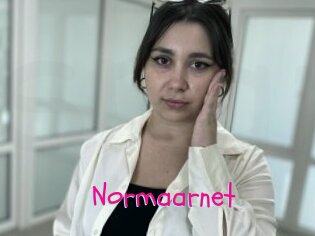 Normaarnet