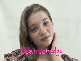 Odelindahedge