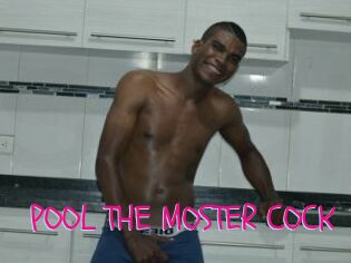 POOL_THE_MOSTER_COCK