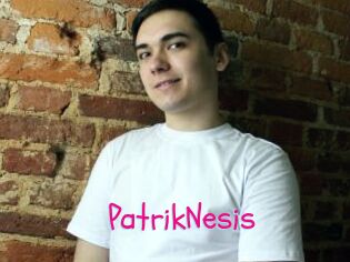 PatrikNesis