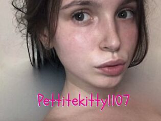 Pettitekitty1107