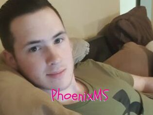 PhoenixMS