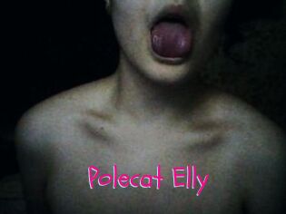 Polecat_Elly