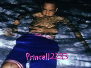 Prince112233