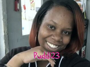 Pudd123