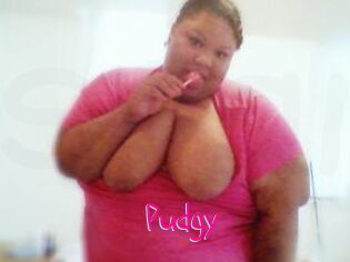 Pudgy