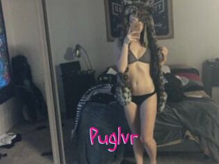 Puglvr