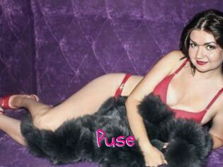 Puse