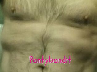 Pantybandit