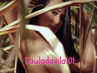 Pauladavila101