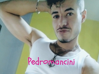 Pedromancini