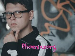 Phoenixzorg