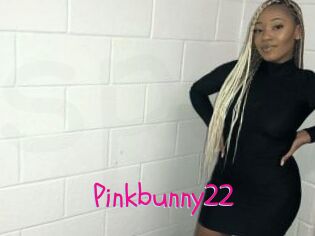 Pinkbunny22