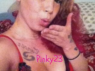 Pinky23