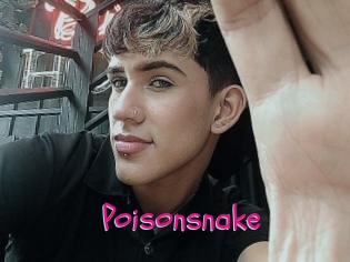 Poisonsnake