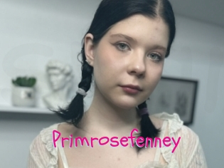 Primrosefenney