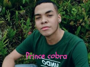 Prince_cobra